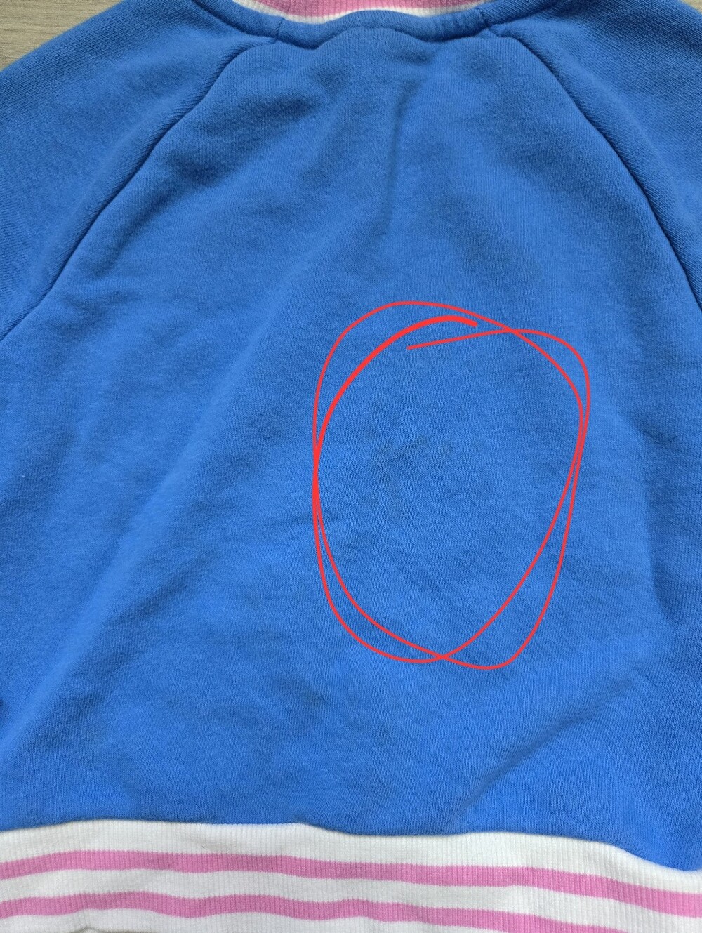 Epic Threads Sweatshirt Outfit - Picture 6 of 10